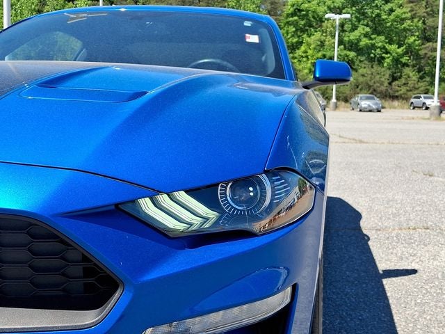 2019 Ford Mustang EcoBoost